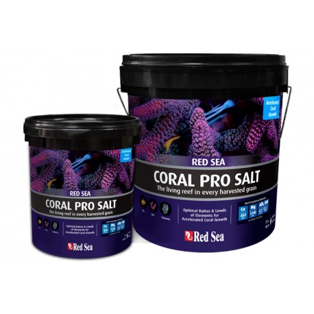 coral-pro-salt