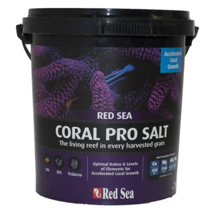 sal-coral-pro-red-sea
